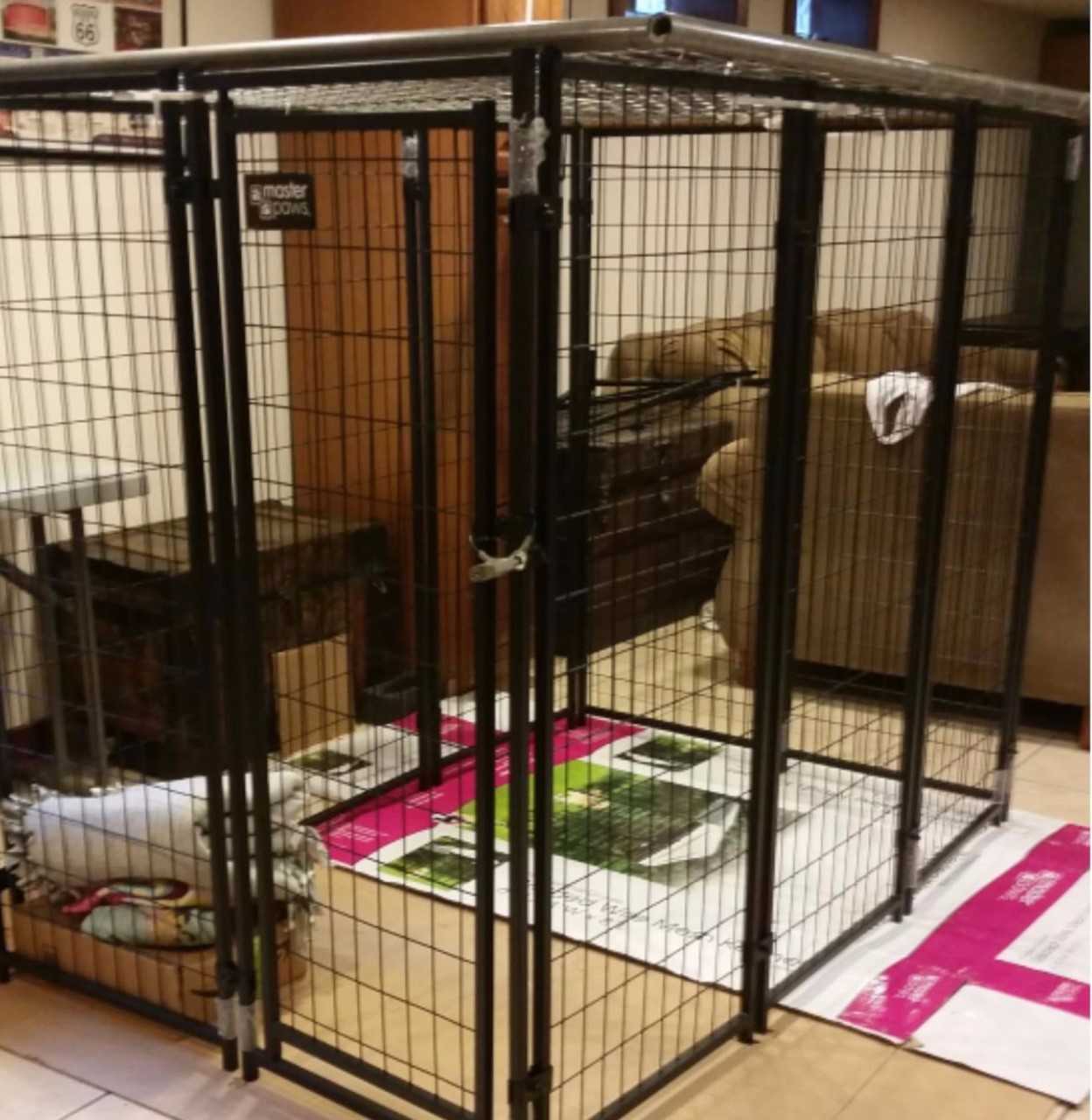 inside dog cage